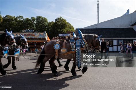 Oktoberfest Munich 2023 Stock Photo - Download Image Now - Adult ...