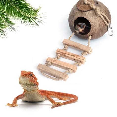 Buy Gecko Coconut Husk Hut Bird Hut Nesting House Hideouts With Ladder