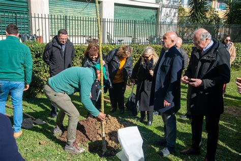 Giornata Dei Giusti 2023 Nel Ventennale Del Giardino Di Milano