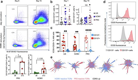 Identification Of Proteinase 3 Autoreactive Cd4t Cells And Their T