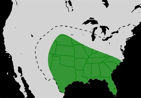 Bombus pensylvanicus - Facts, Diet, Habitat & Pictures on Animalia.bio