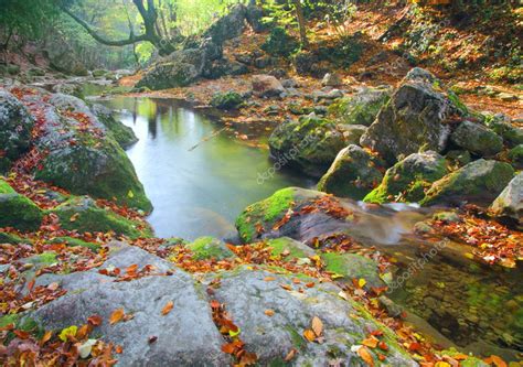 Beautiful river in autumn forest — Stock Photo © hydromet #1617546