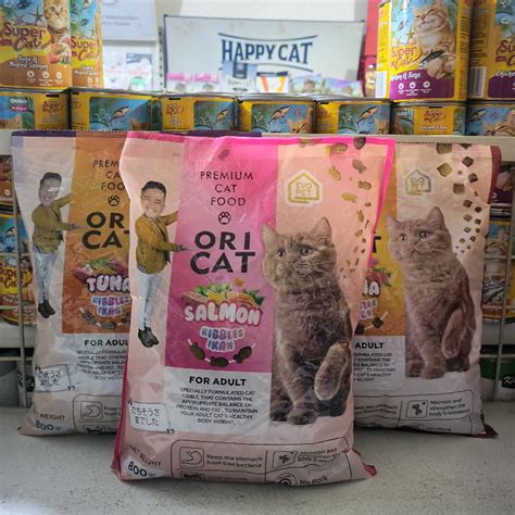 Jual GRAB GO JEK 10 PCS Makanan Kucing Oricat Adult Kemasan 800G