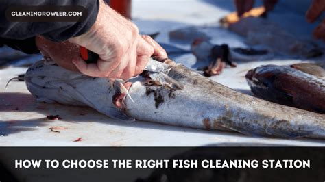 The Importance of Fish Cleaning Stations for Anglers - CleaninGrowler