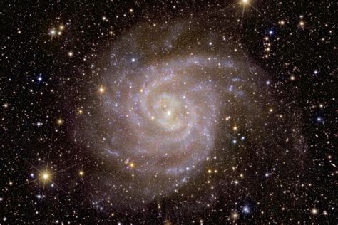 Shimmering galaxies revealed in new photos by Euclid telescope | PBS News