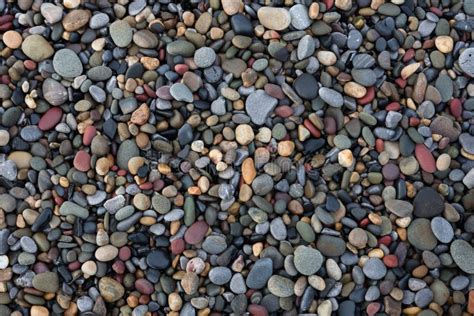 Small Beach Pebbles Stock Image Image Of Rocks Shingle 64293701