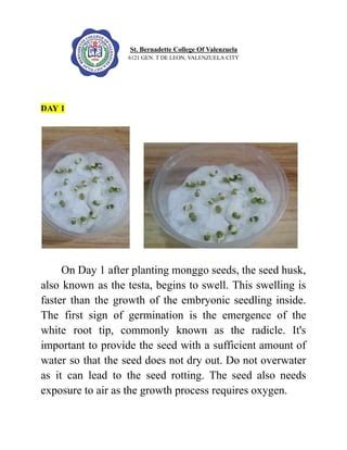 Monggo Seeds Experiment Day 1 to Day 7.pdf