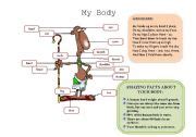 My Body Esl Worksheet By Catherine Shutik