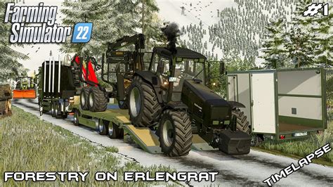 Cutting And Transporting Wood In The Snow Forestry On Erlengrat