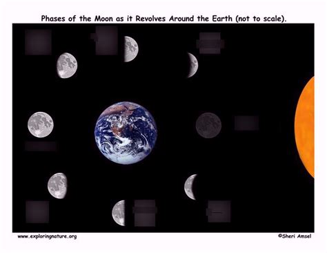 Moon Location And Phases Diagram Quizlet