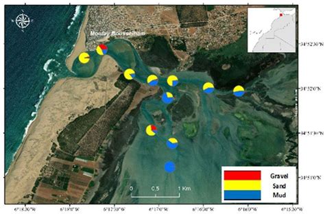 Granulometric distribution in the Merja Zerga lagoon in winter 2017 ...