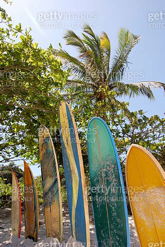 Surfboards At Praia Lopes Mendes Beach Ilha Grande Island Brazil