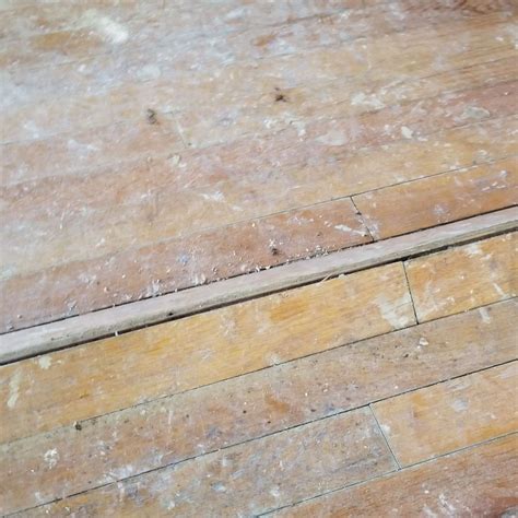 Wood Floor Cupping Fix Clsa Flooring Guide