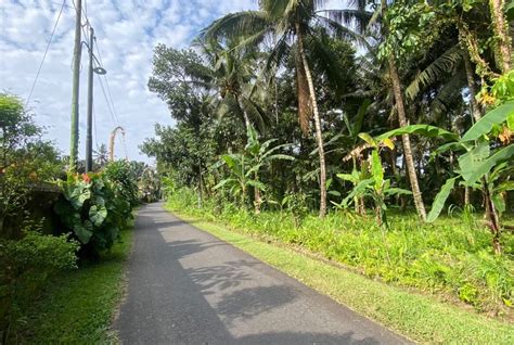 Payangan Ubud Land For Lease 25 Are Investing In Bali Starts With