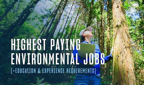 high paying environmental careers   pursue