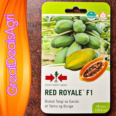 Red Royale F1 Hybrid Red Flesh Papaya 15 Seeds East West Seeds