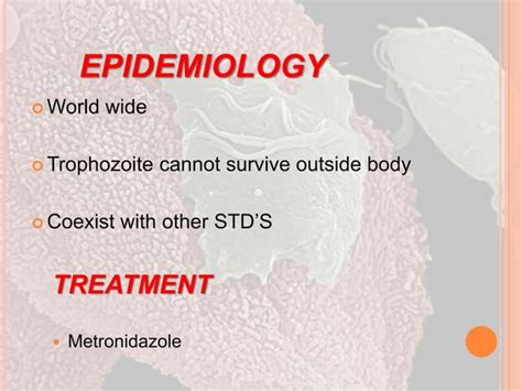 Flagellates Parasitology Ppt