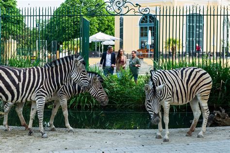 Special tours at the zoo – Vienna Zoo