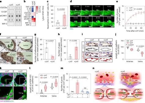 纳米人 Nature Nanotechnol：颠覆epr效应新机制！中科大王育才 蒋为团队提出纳米药物肿瘤递送新理论