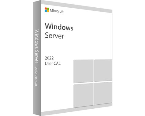 Client Access Licenses Cals Windows Server 2022 Standard User Cals