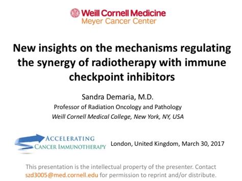 New Insights On The Mechanisms Regulating The Synergy Of Radiotherapy