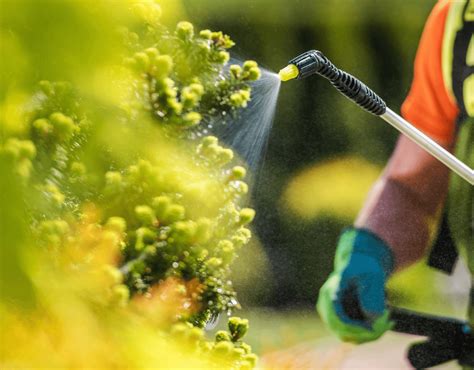 Preguntas frecuentes de fabricantes de insumos agrícolas sobre BeCrop®