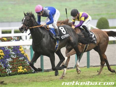 ⭐️ホープフルs・東京大賞典gl 重賞結果🎯｜yama競馬｜note