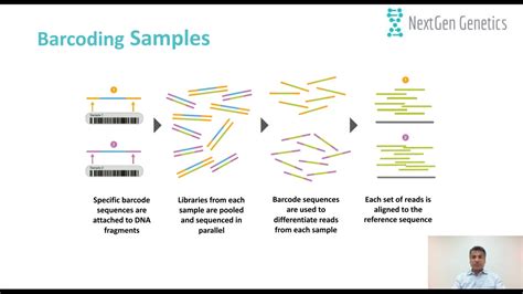 Recent Advances For Simultaneous Analysis To Determine Embryo PGT A And