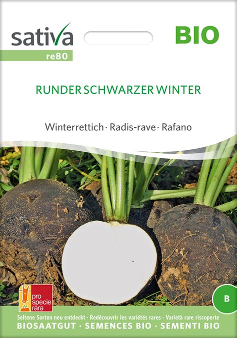 Winterrettich Runder Schwarzer Winter Bio Rettichsamen Von Sativa