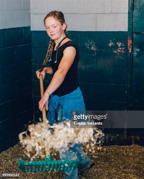 39 Horse Stall Cleaning Stock Photos, High-Res Pictures, and Images ...