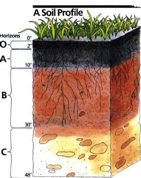 GC16PYV Dirt vs. Soil (Earthcache) in Ohio, United States created by BiT