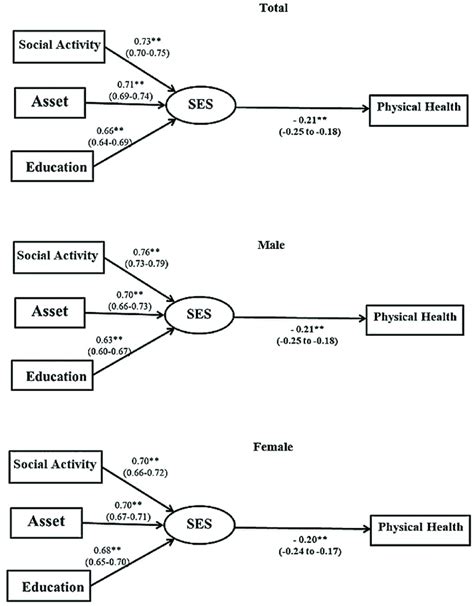 Structural Equation Modeling Of The Association Between Socioeconomic