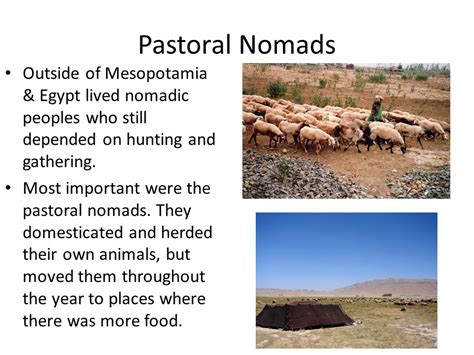 Pastoral Nomadism