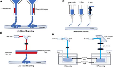 Frontiers 3D Bioprinting For Spinal Cord Injury Repair