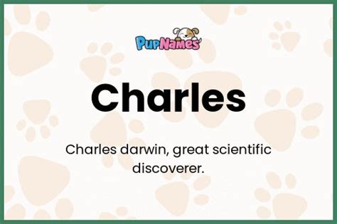 Charles Nombre De Perro Significado Y Pupnames