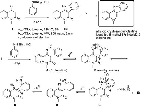 Synthesis Of Alkaloid Cryptosanguinolentine 5a Download Scientific