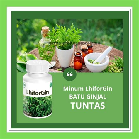 Jual Obat BPOM Herbal LHIFORGIN Untuk Batu Oksalat Ginjal Saluran Kemih