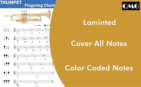 Mua Qmg Trumpet Fingering Chart With Color Coded Notes Learn Trumpet