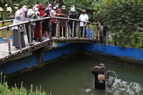 Perkuat Ketahanan Pangan Pemkot Surabaya Dampingi Warga Manfaatkan