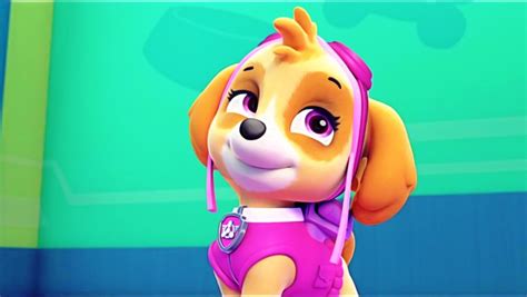 Skye Paw Patrol Fan Art 40169981 Fanpop