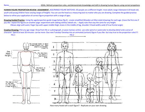 Figure Drawing Proportion Guidelines