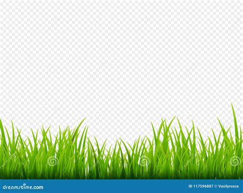 Green Grass Meadow Border Vector Pattern Spring Or Summer Plant Field Lawn Stock Vector