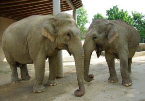 Törööö Stiftung Zoo Augsburg ist da haus der stifter augsburg de