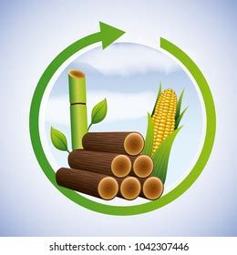 Biofuel Biomass Ethanol Made Form Sugar เวกเตอรสตอก ปลอดคา