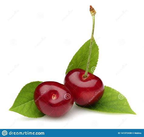 Ripe Red Cherries With Green Leaves Isolated Stock Photo Image Of