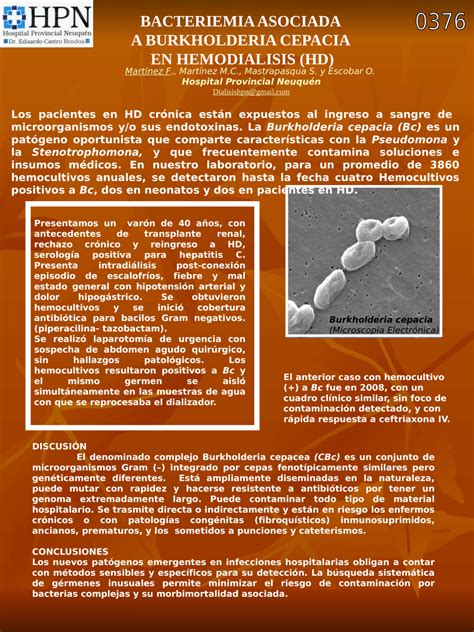 Pdf Bacteriemia Asociada A Burkholderia Cepacia En Hemodialisis Hd