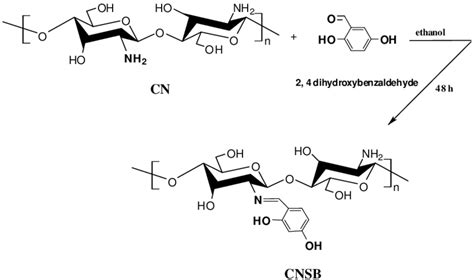 The Schematic Representation Of The Synthesis Of Chitosan Nanoparticle Download Scientific