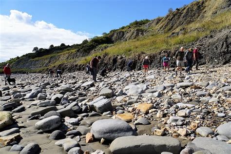 First Time Fossil Hunting On The Jurassic Coast Two Traveling Texans