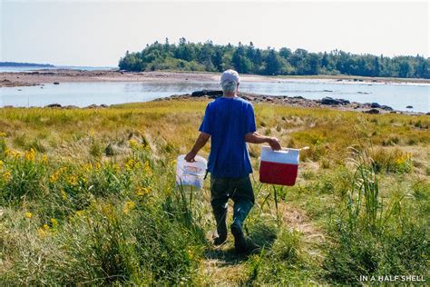 Exploring Maines Easternmost Oyster Farm In Corea — In A Half Shell