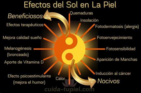 Efectos Del Sol En La Piel La Piel Y La Radiación Solar